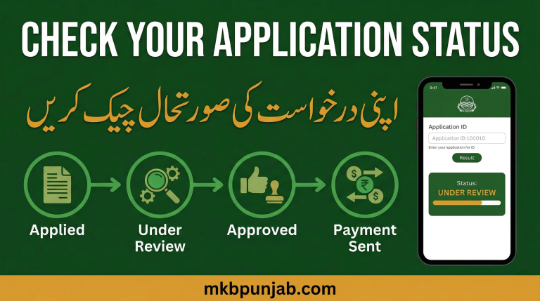 how to check your application status for punjab petrol scheme