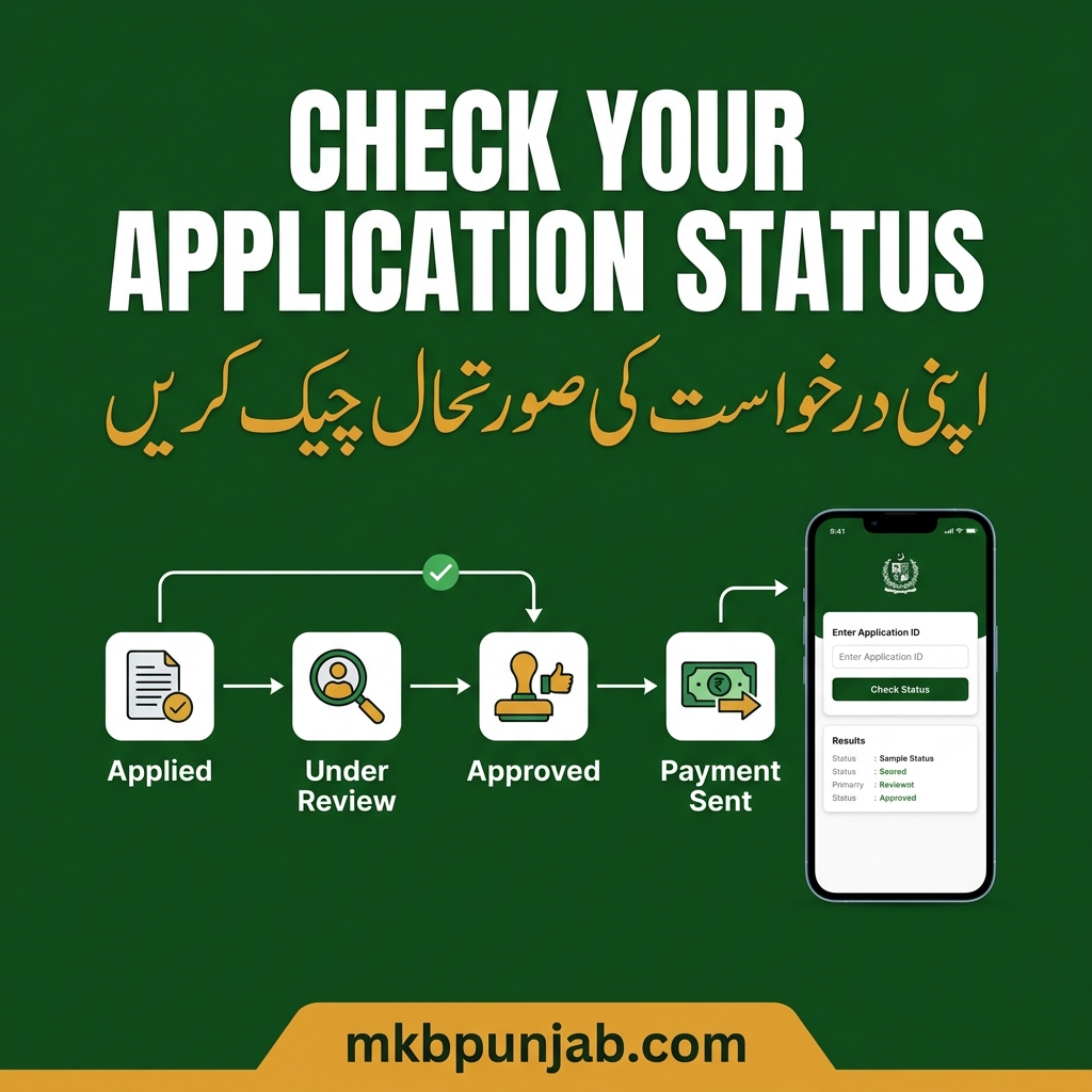 How to Check Your Petrol Relief Application Status Guide
