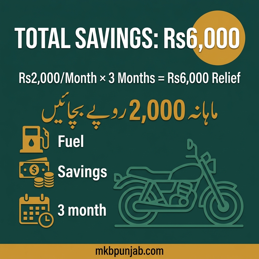 Total Savings Breakdown for MKB Punjab Petrol Subsidy